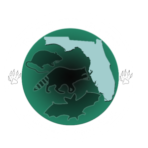 Rats to Bats Pest & Wildlife Control
