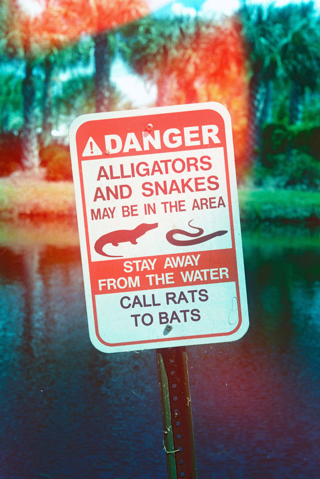Rats to Bats Sign